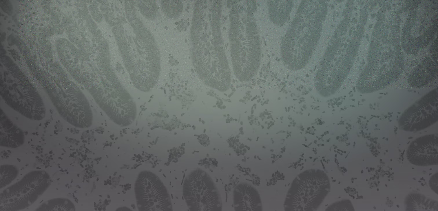microbiome pattern